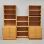 619381 Bookshelves